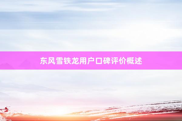 东风雪铁龙用户口碑评价概述